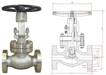 API Globe Valve (4)