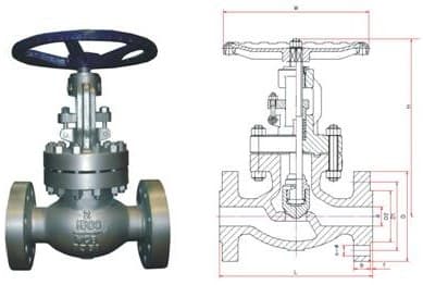 API Globe Valve (5)