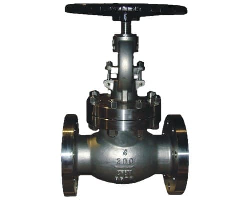 API Globe Valve