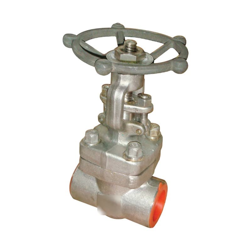 API Forged Steel Gate Valve