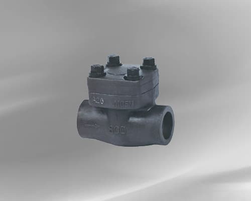 Forged Check Valve