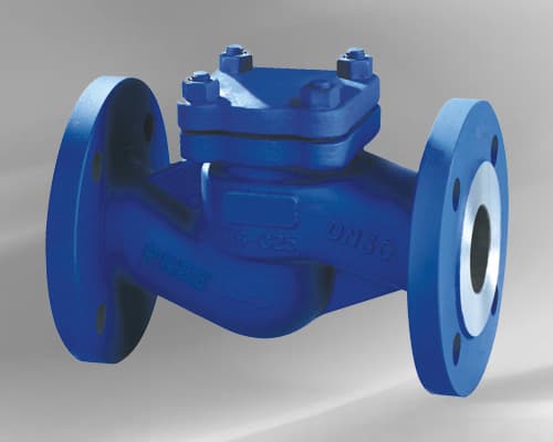 DIN Lift Check Valve