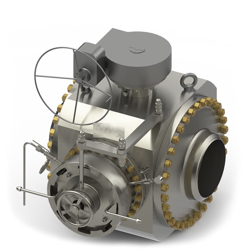 Pig Valve