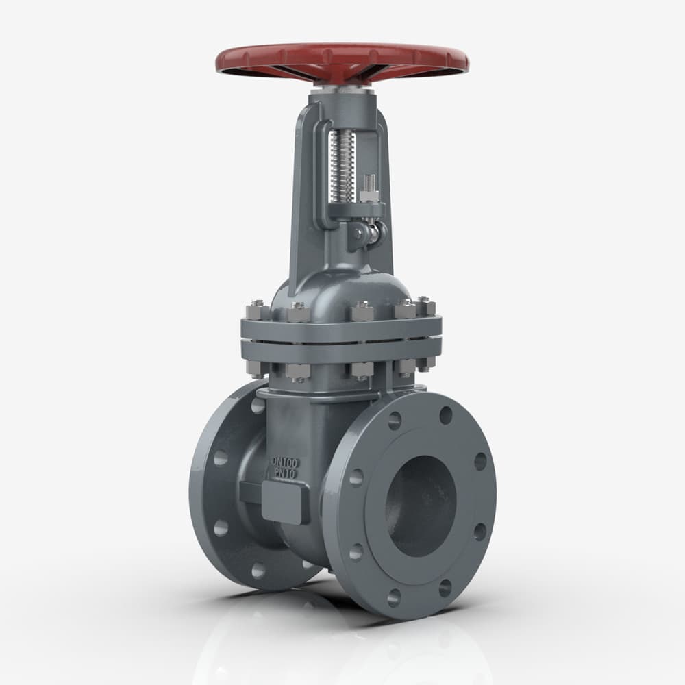 Rising Stem Gate Valve