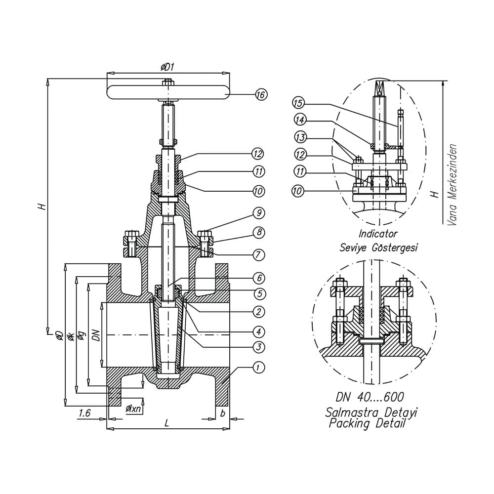 Gate Valve With Stuffing Box & Indicator (2)