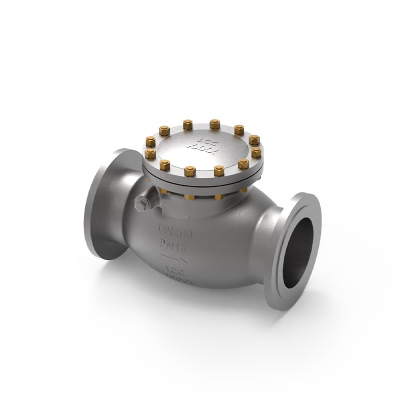 Cryogenic Swing Check Valve
