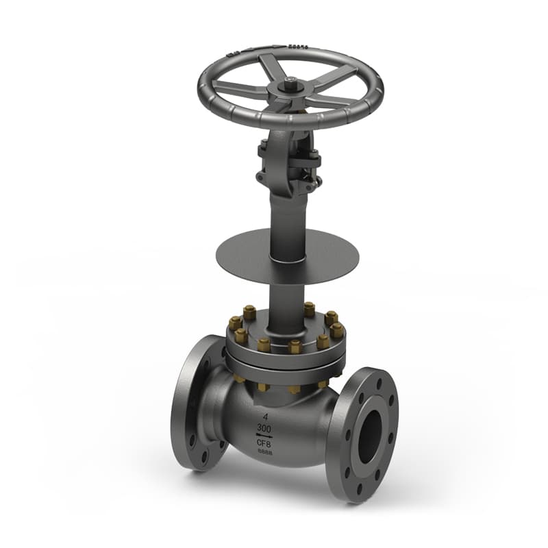 Cryogenic Globe Valve