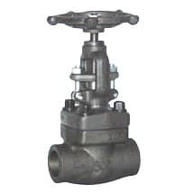 Forged Globe Valve