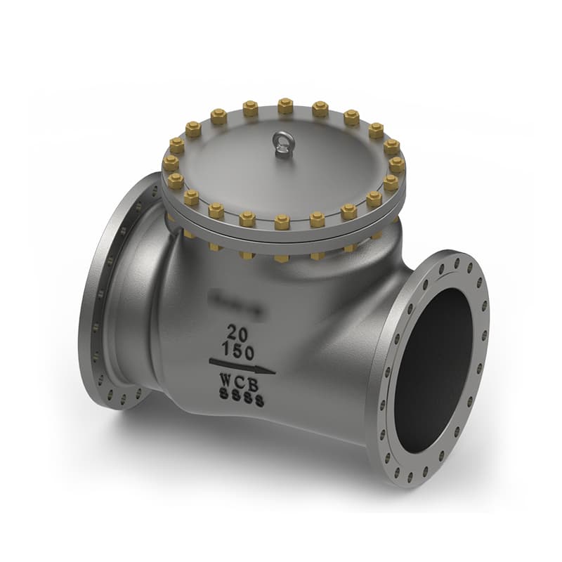 Swing Check Valve