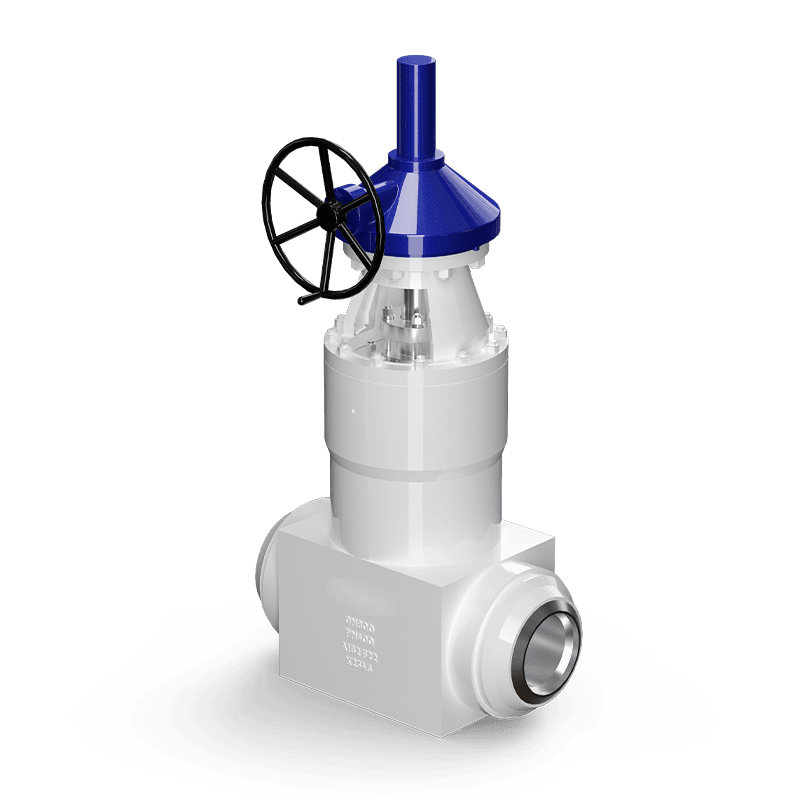 Power Plant Gate Valve