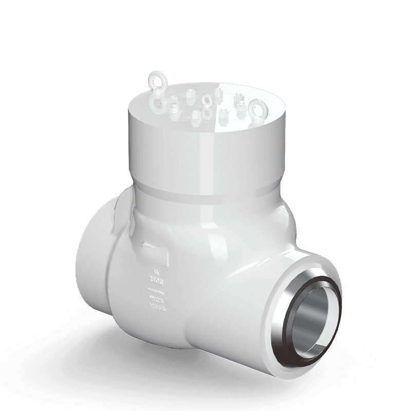Power Plant Check Valve