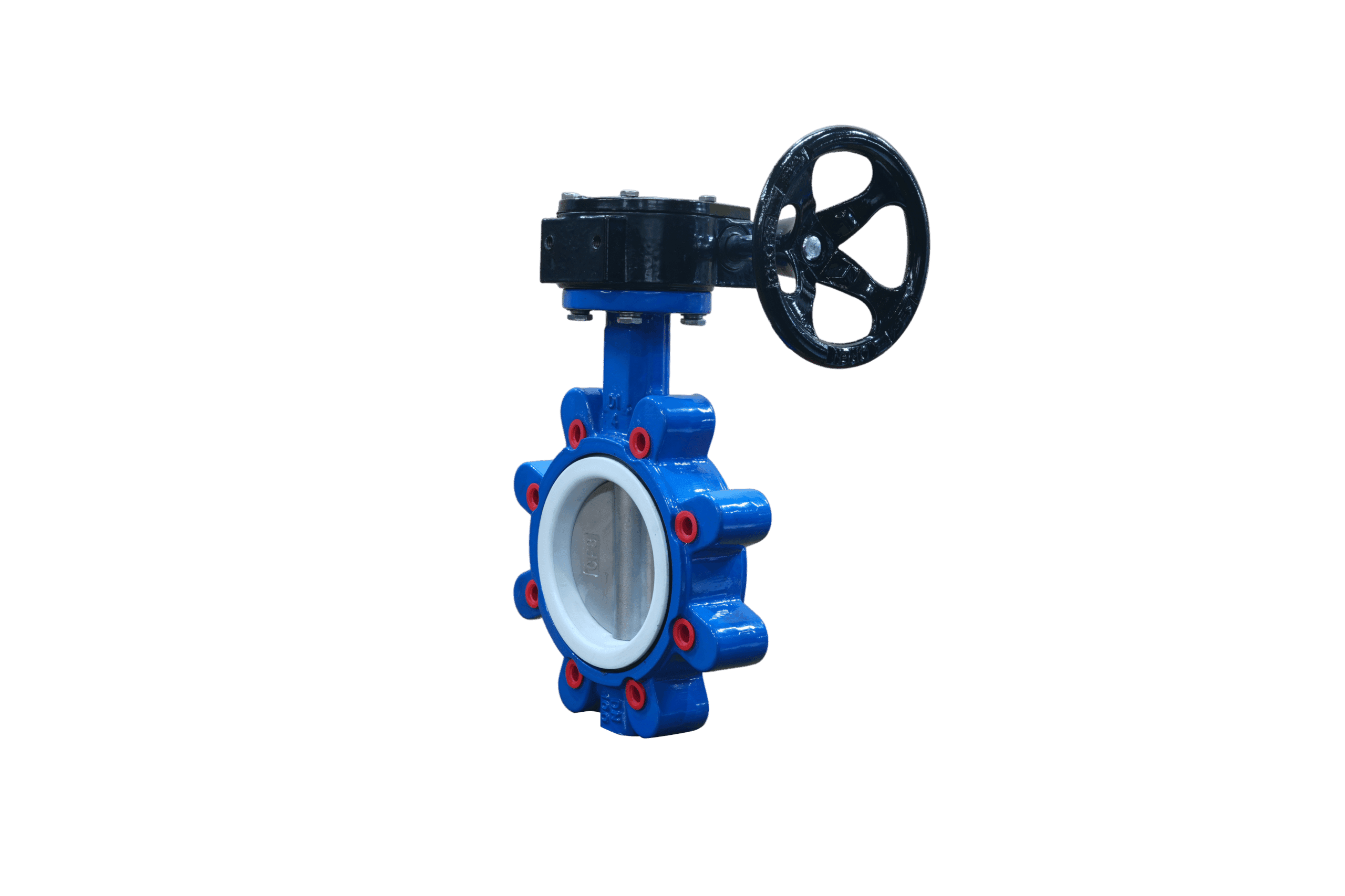 SS304 Disc PTFE Seat Lug Butterfly Valve with Gear Operator (2)