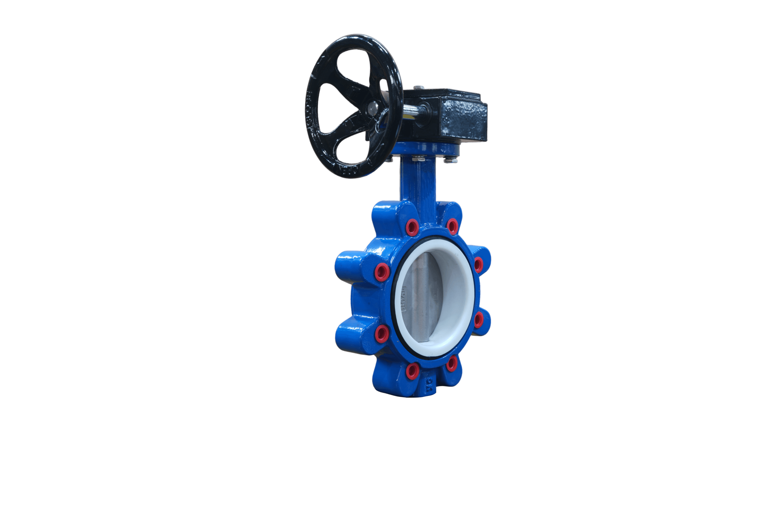SS304 Disc PTFE Seat Lug Butterfly Valve with Gear Operator (4)