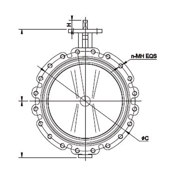 Concentric Butterfly Valve (6)