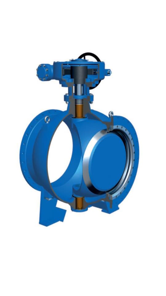 Double Eccentric Ball Valve (2)