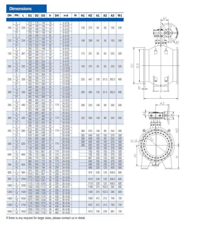 Double Eccentric Ball Valve (4)