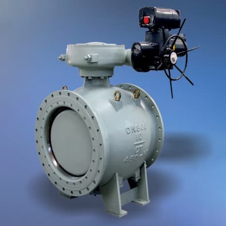 Double Eccentric Ball Valve
