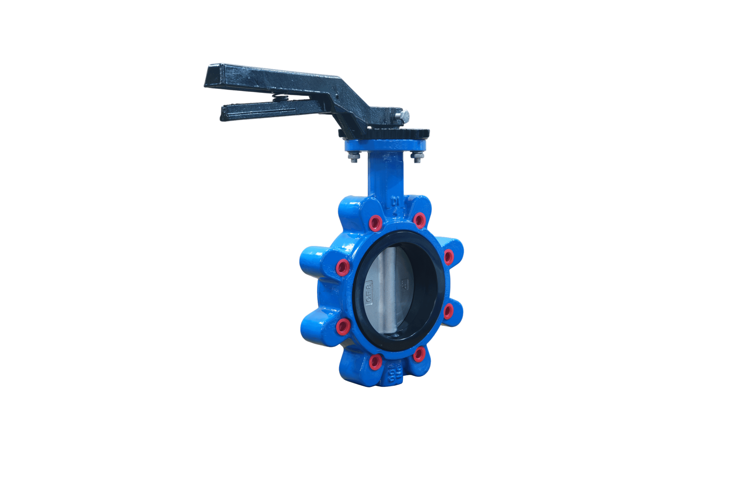 SS304 Disc EPDM Seat Lug Butterfly Valve with Handle (2)