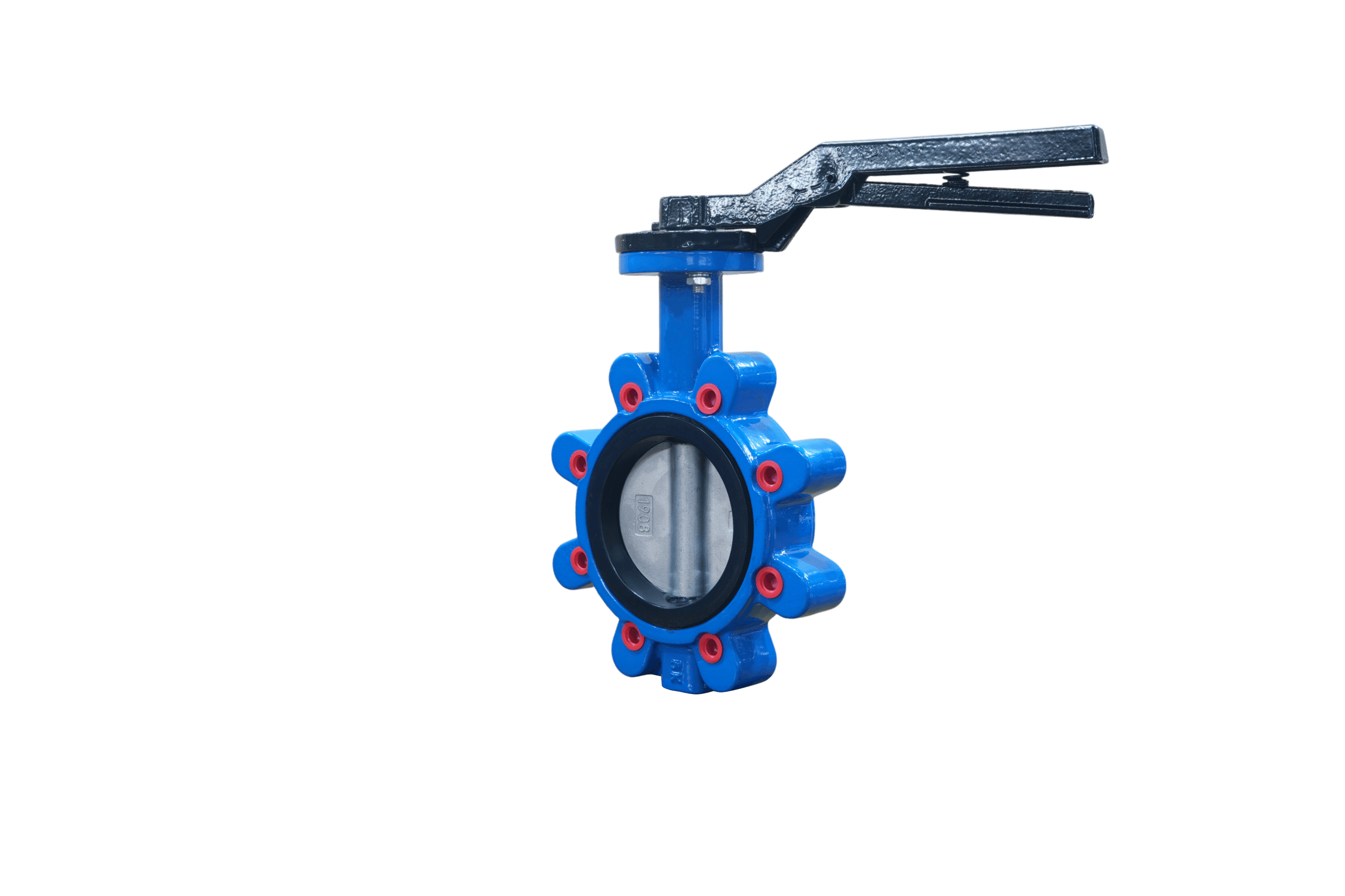SS304 Disc EPDM Seat Lug Butterfly Valve with Handle (4)