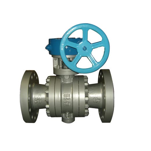 2-PC Trunnion Ball Valve (2)