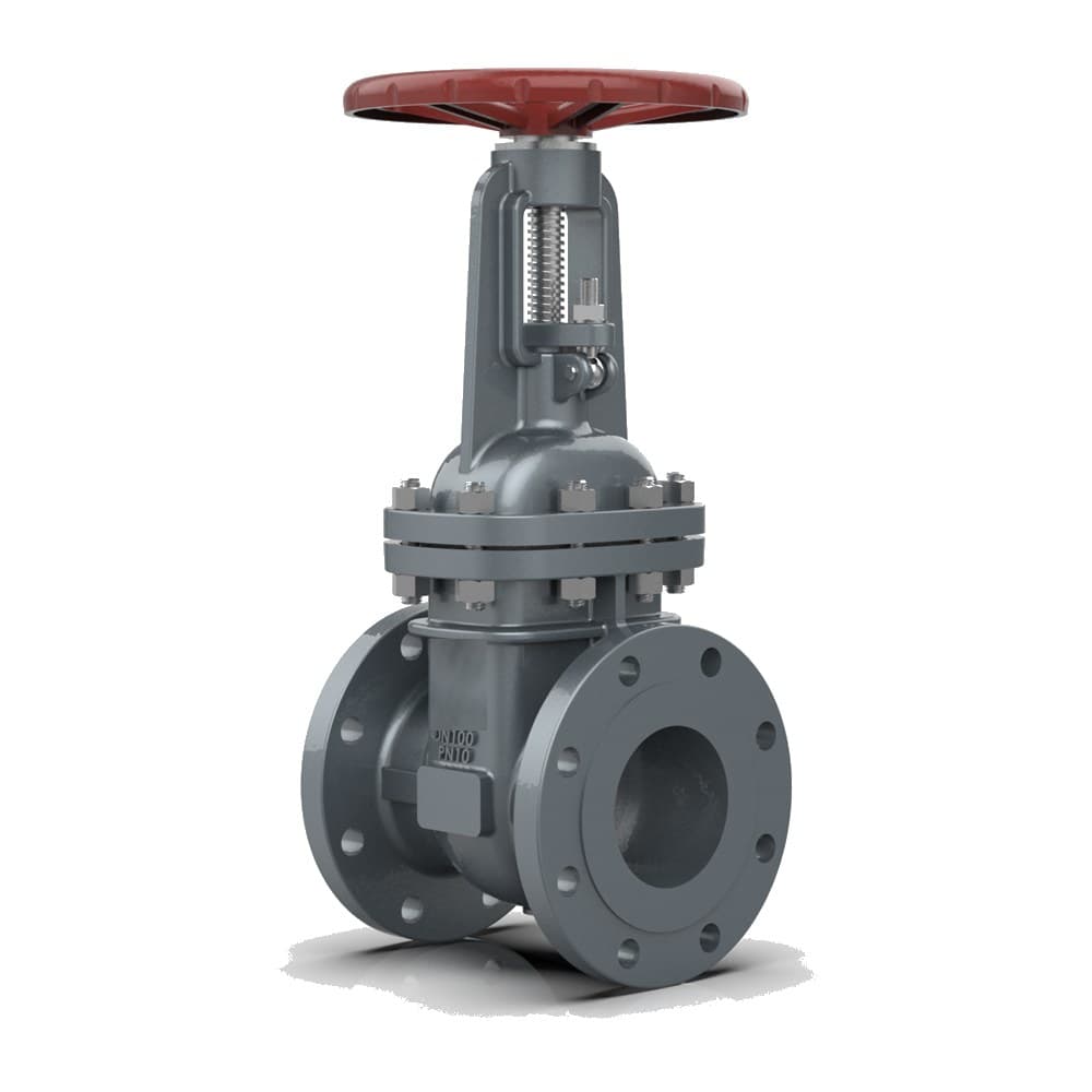 Rising Stem Gate Valve