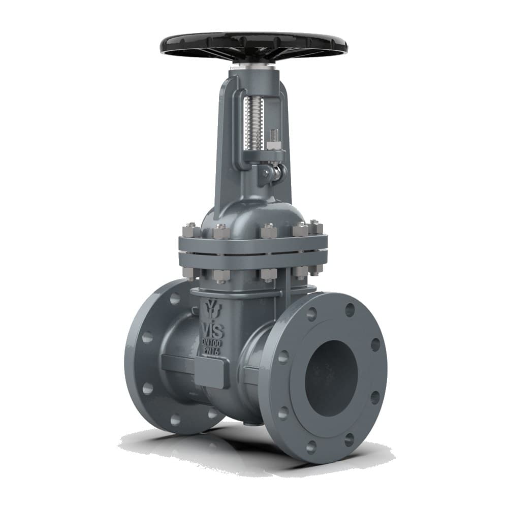 Rising Stem Gate Valve
