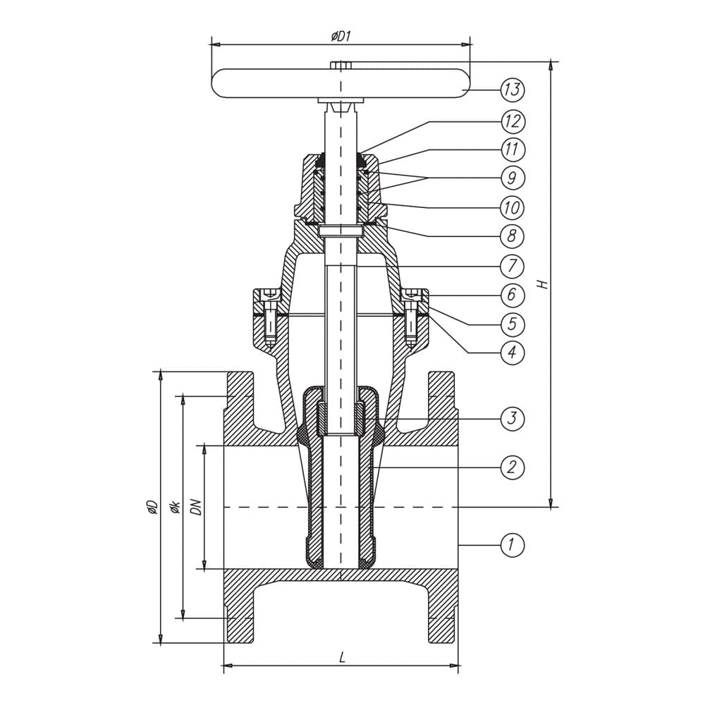 Resilient Seat Gate Valve (O-Ring System) (2)