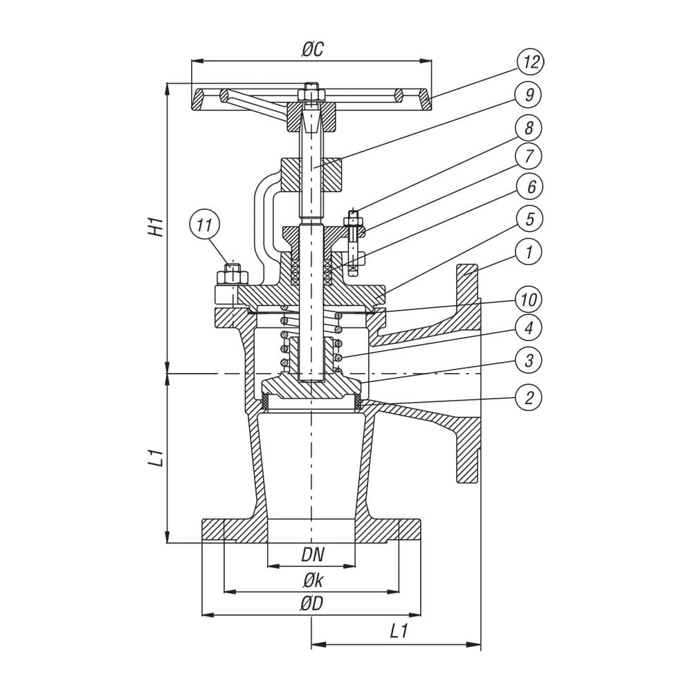 Angle Type SDNR Globe Valve (2)