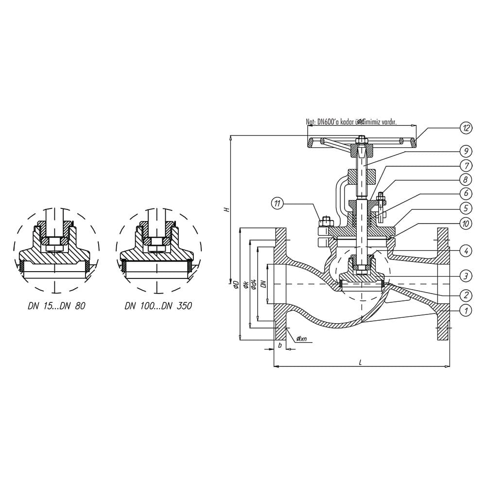 Straight Type Cast Steel Globe Valve (2)