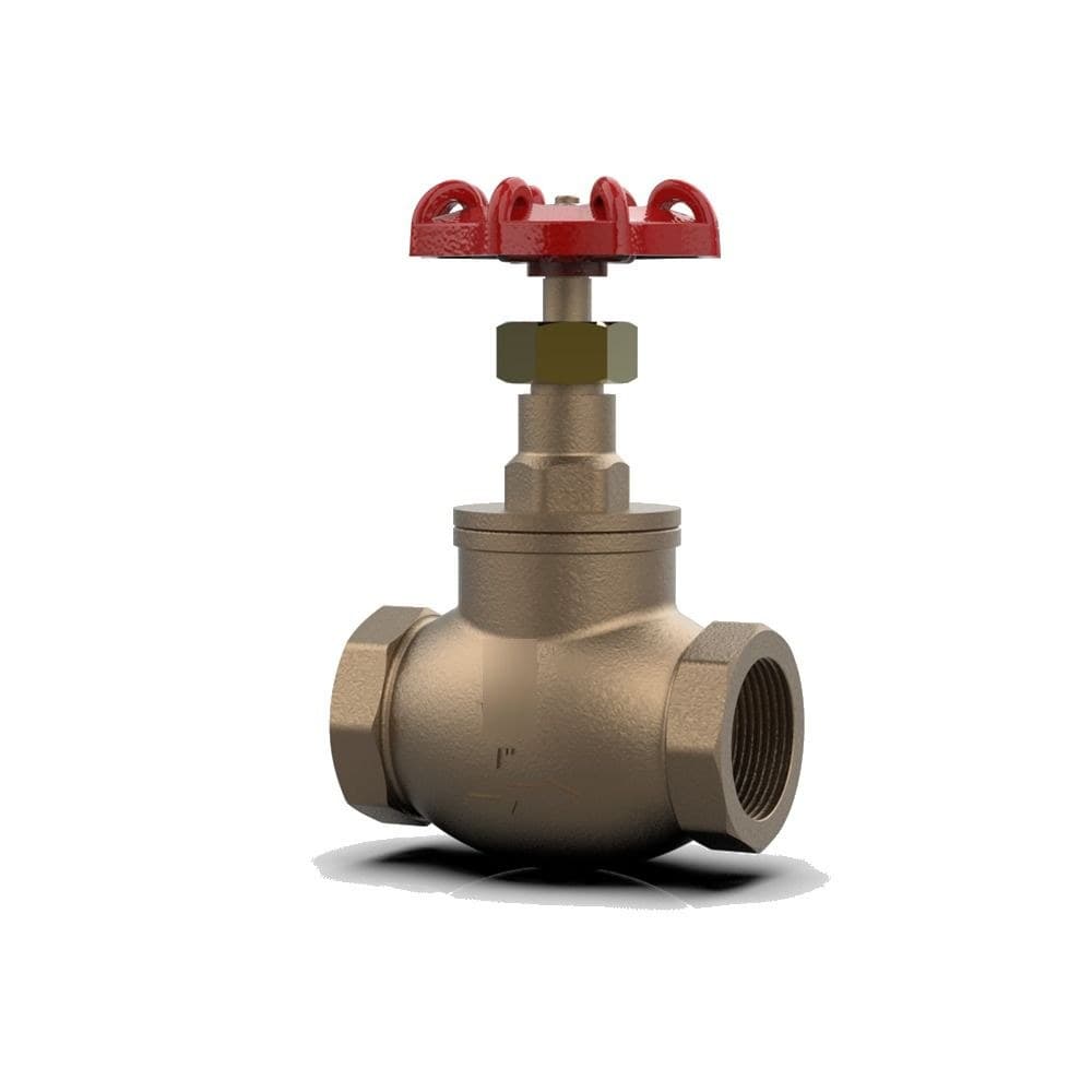 Bronze SDSL Globe Valve - BSPT