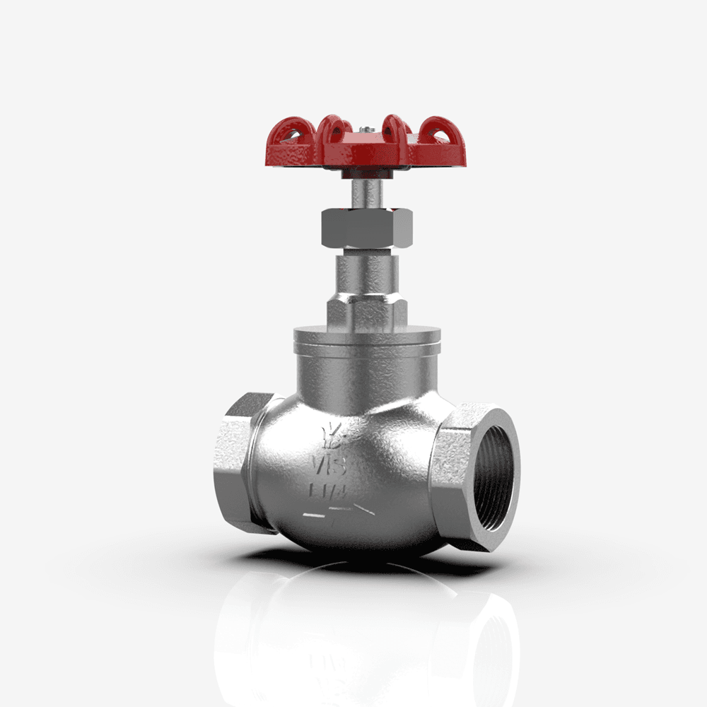 SS SDSL Globe Valve - BSP