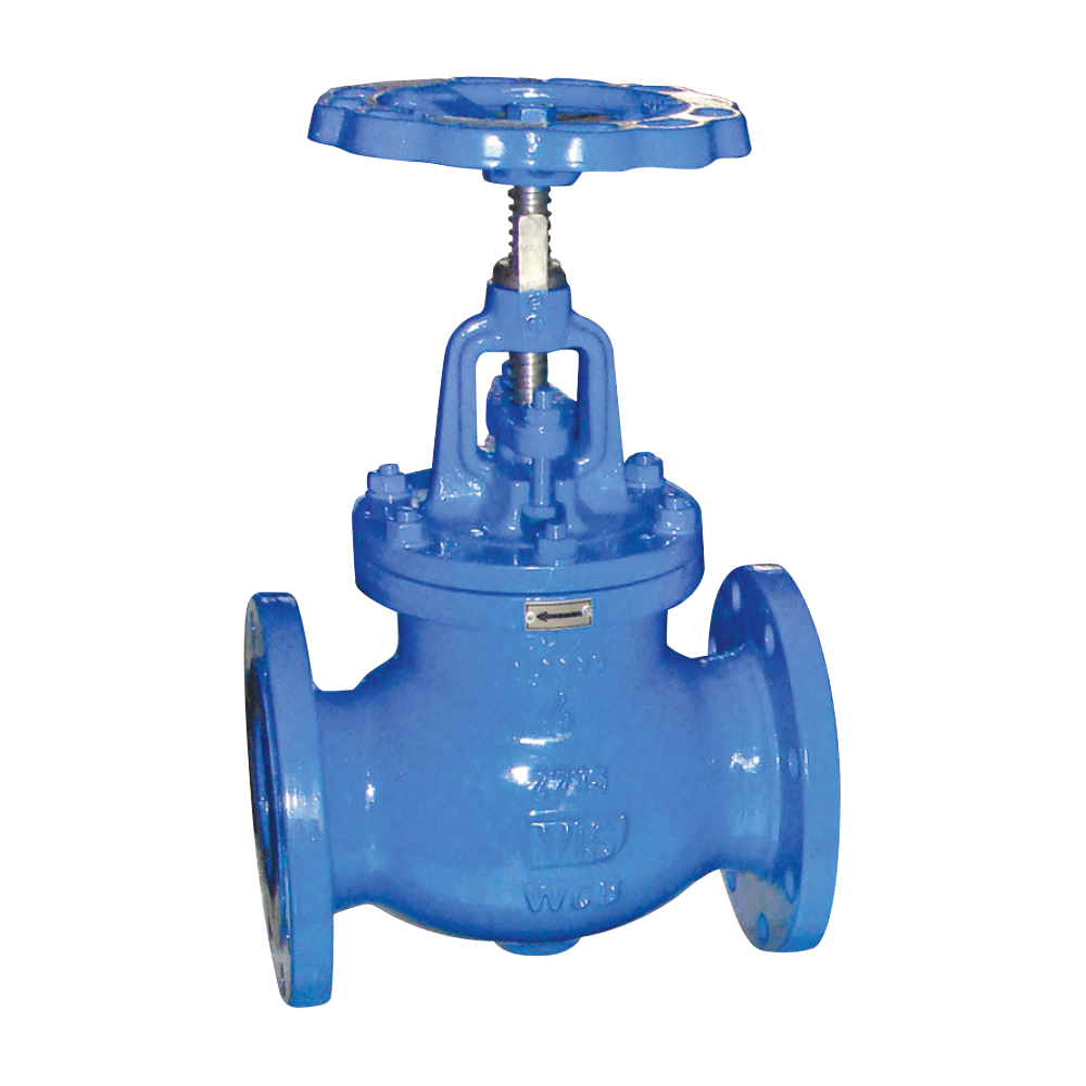 Globe Valve 150Lb