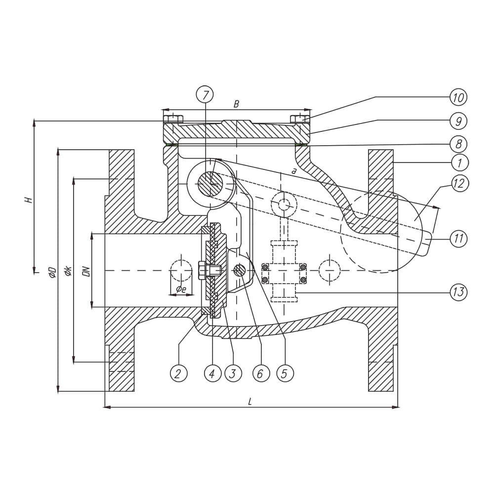Swing Check Valve (2)