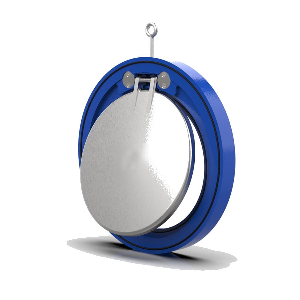 Swing Check Valve