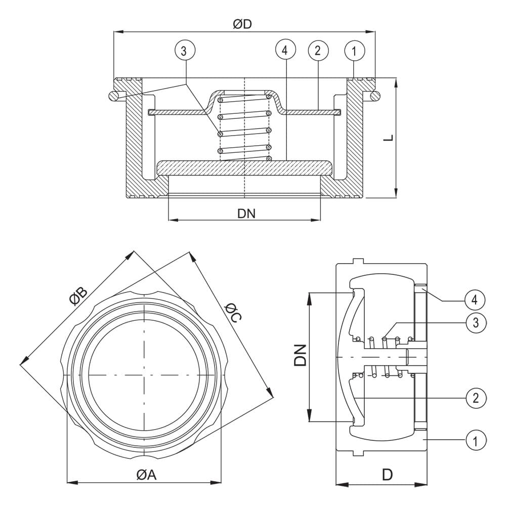 Disc Check Valve (2)