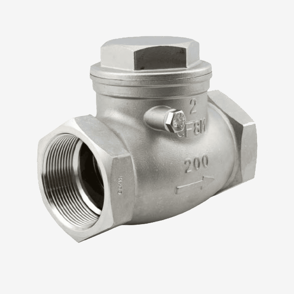 SS Swing Check Valve - BSP