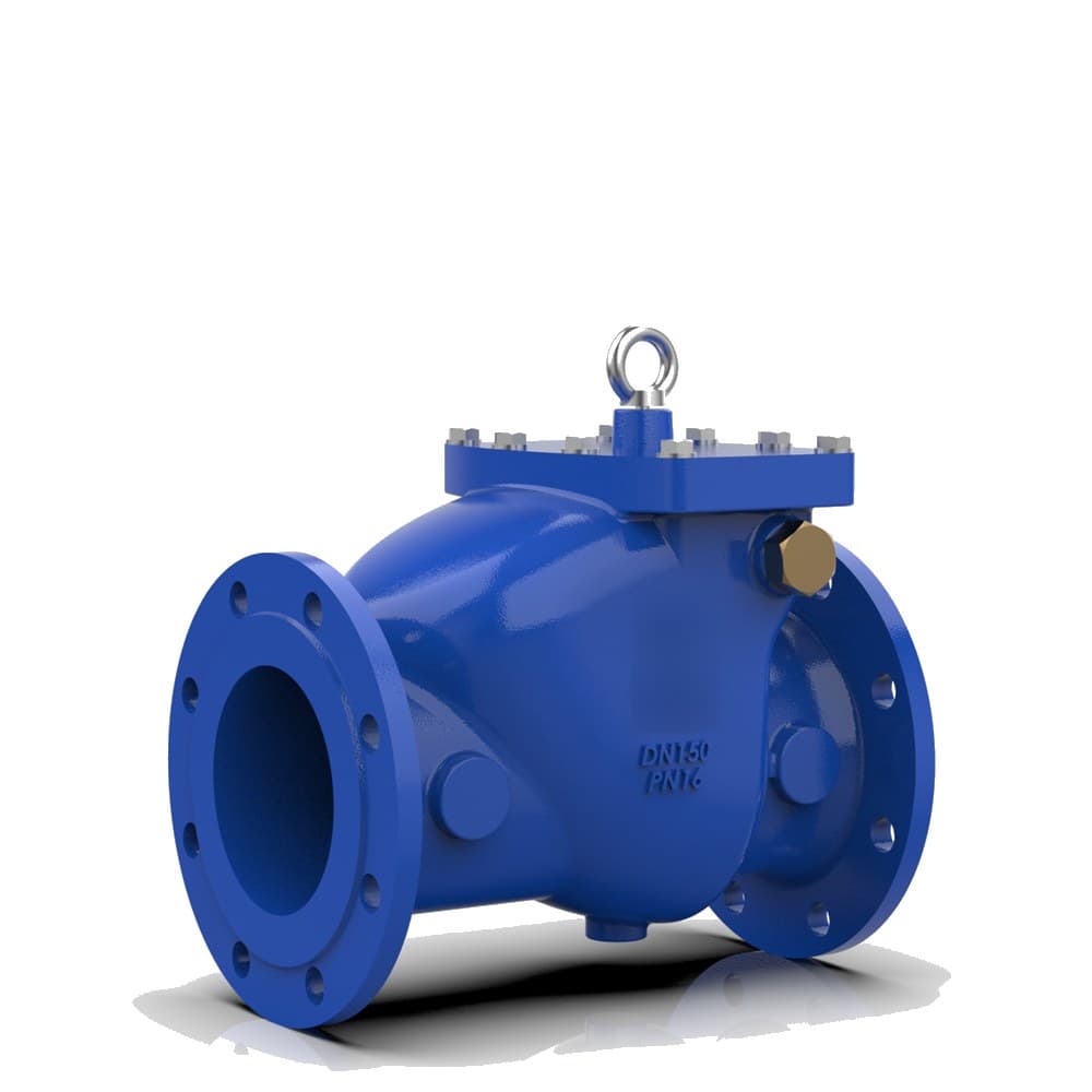 Lift Type Check Valve Angle Form