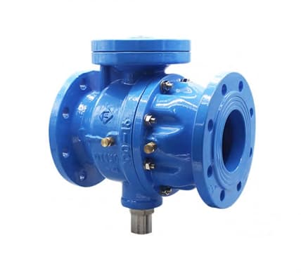 Backflow Preventer