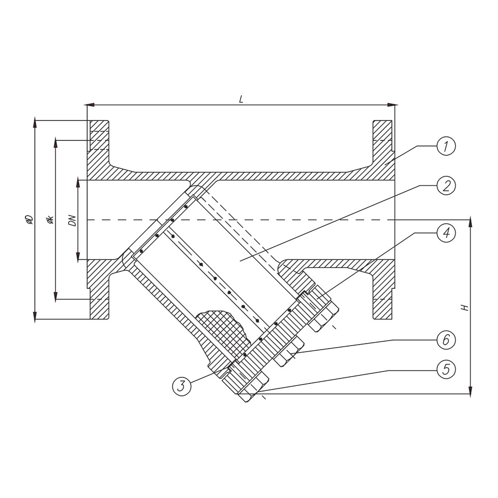 Y Type Strainer (Cast Iron) drawing 1