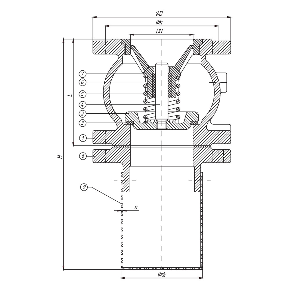 Foot Valve With Spring drawing 1