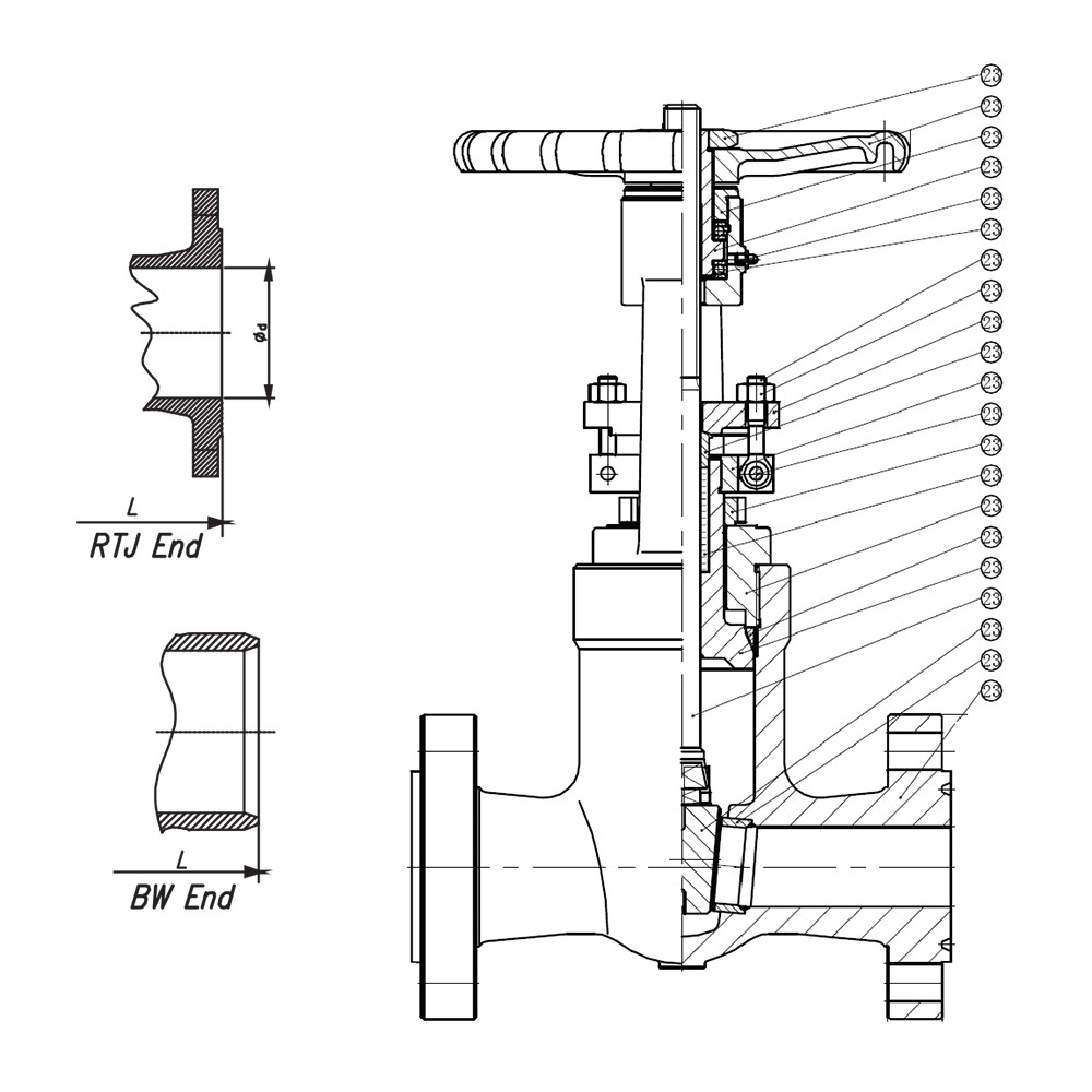 API Gate Valve drawing 1