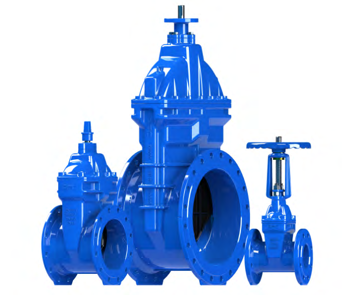 RSV Gate Valve - By-Pass drawing 1