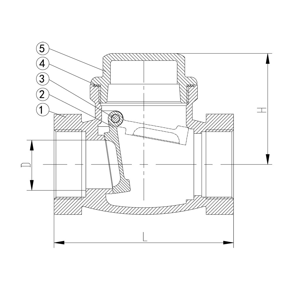 SS Swing Check Valve - BSP drawing 1